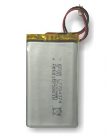bat_LP704374