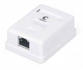 Cabeus WS-8P8C-Cat.6-SH-1 Розетка компьютерная RJ-45(8P8C), категория 6, экранированная, одинарная, внешняя, Dual IDC
