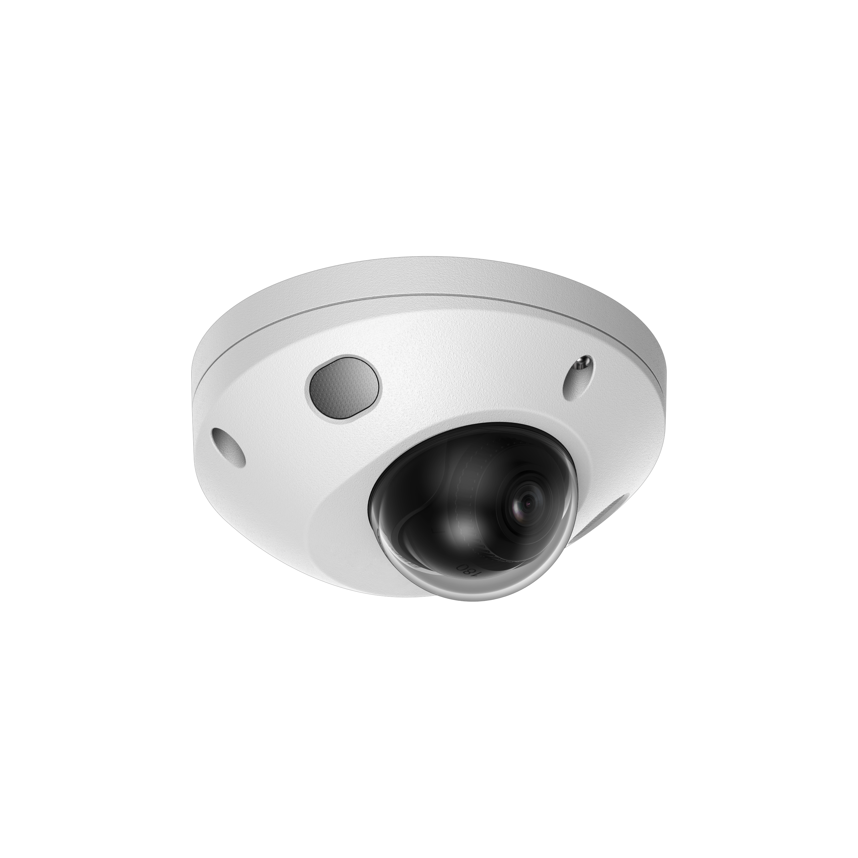 DMSA-1