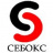 Себокс